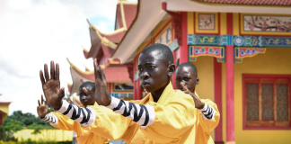 Shaolin dari Henan Tiongkok berakar pada Chan Buddhisme. Kini telah berdiri pusat budayanya di Afrika. Shaolin Afrika menjadi pemandangan menarik.